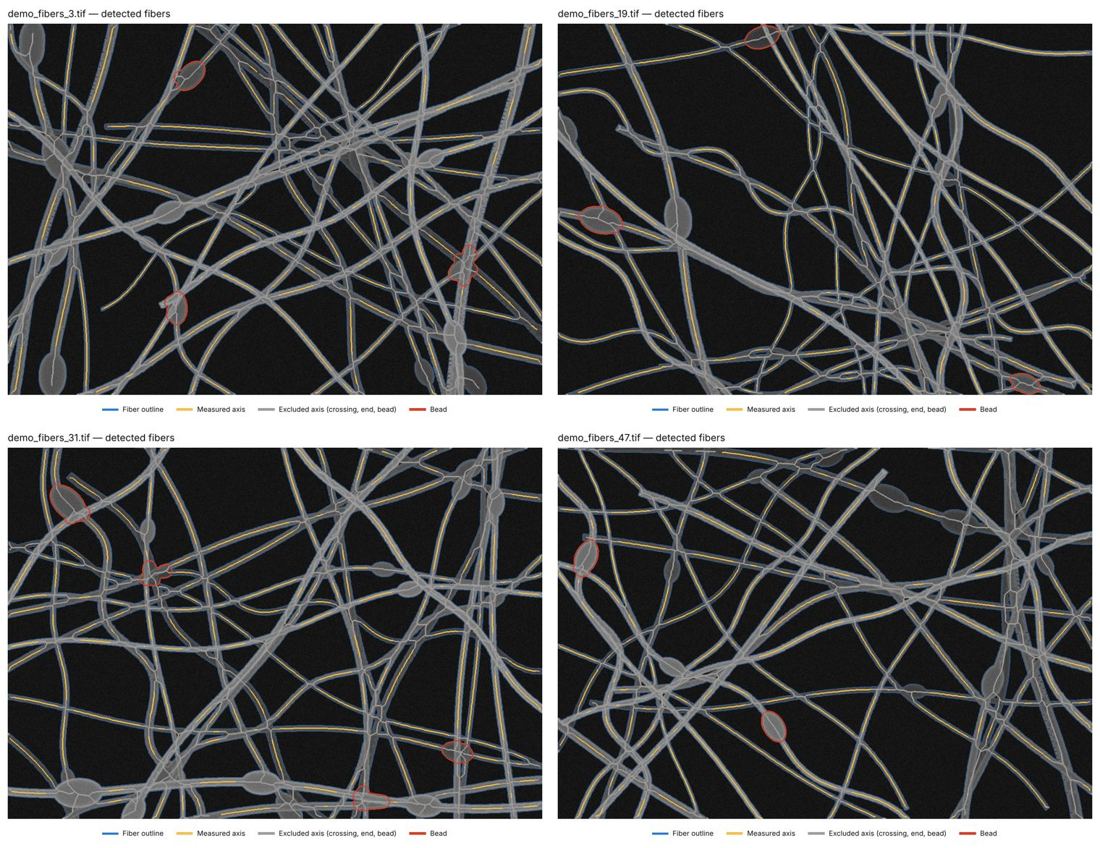 Synthetic nanofiber images with measured axes, crossings and beads